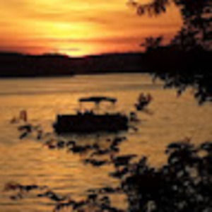 Meet your Posher, Collin